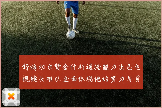 舒梅切尔赞舍什科逼抢能力出色电视镜头难以全面体现他的努力与贡献